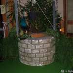 11_suiscoul